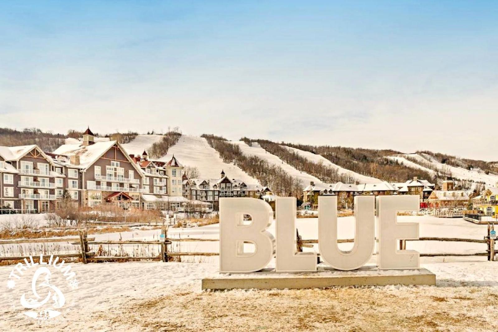 Blue Mountain, Collingwood - Loft Condo, Sleeps 4 Blue Mountains Esterno foto