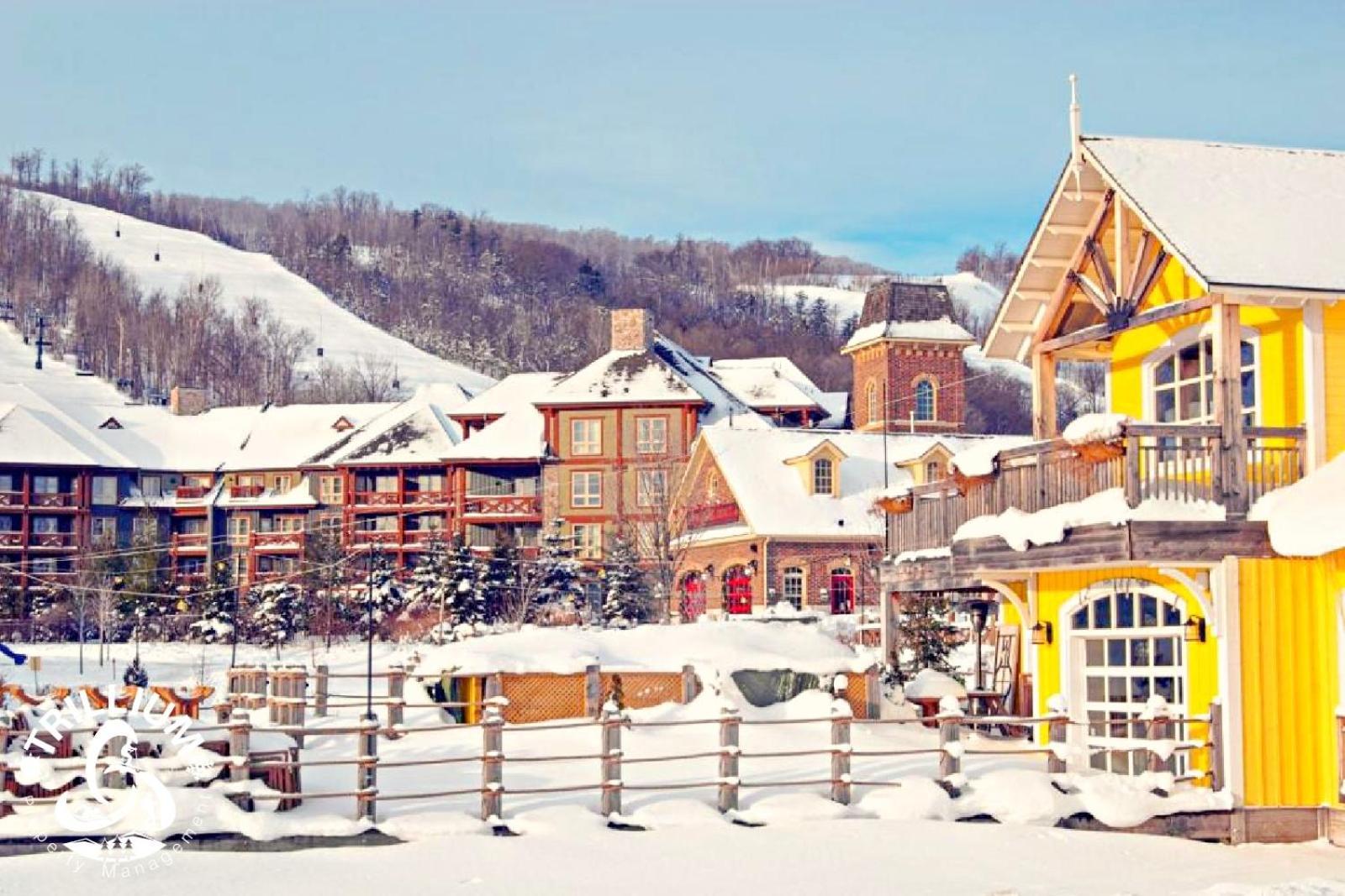 Blue Mountain, Collingwood - Loft Condo, Sleeps 4 Blue Mountains Esterno foto