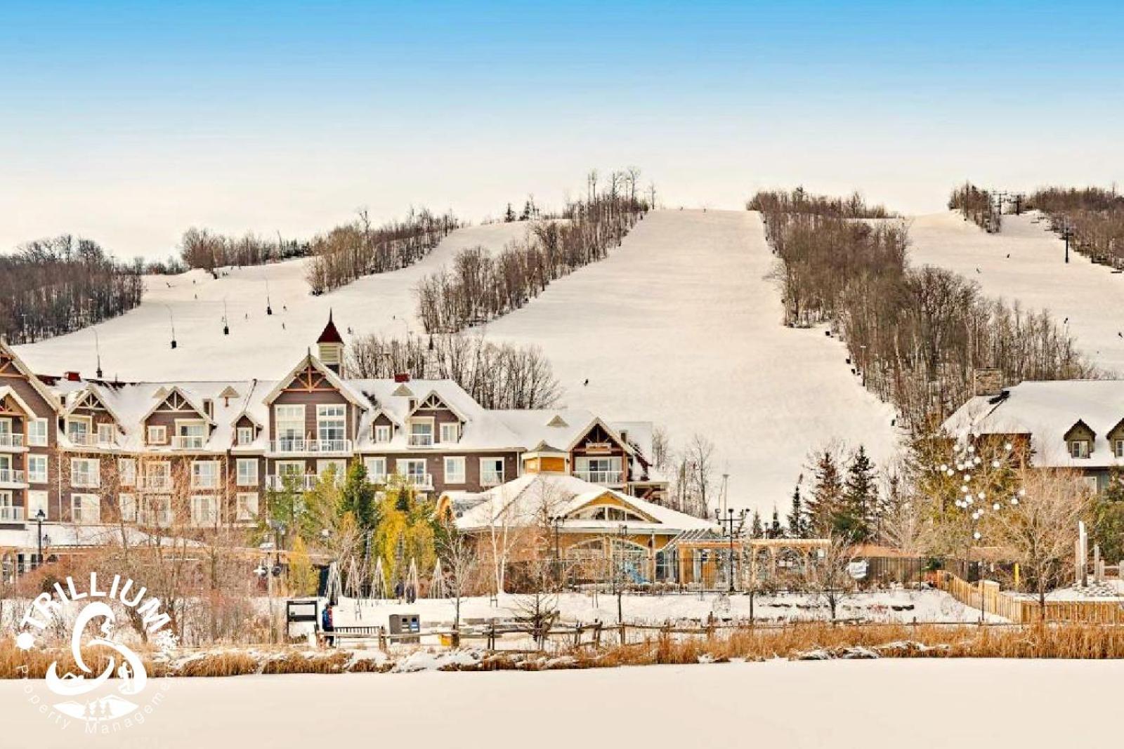 Blue Mountain, Collingwood - Loft Condo, Sleeps 4 Blue Mountains Esterno foto